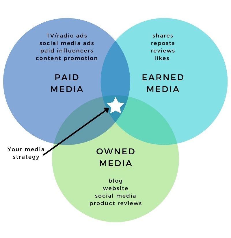 paid owned earned media case study